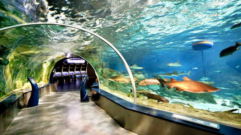 antalya_akvaryum
